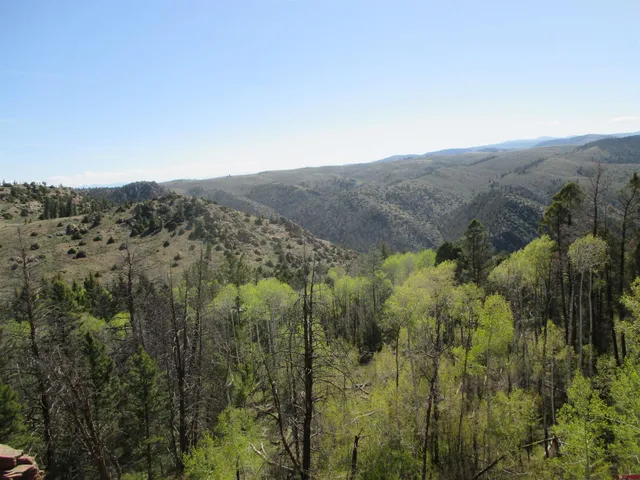 an aerial view of mountain with trees