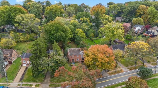 a view of a garden with plants
