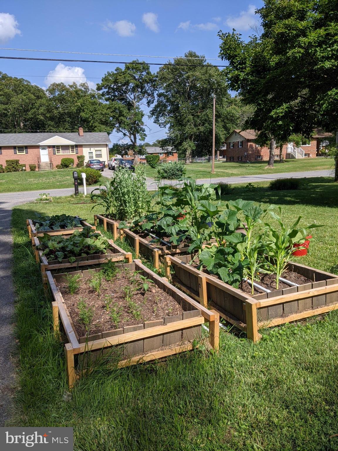 15505 Maple Drive Accokeek, MD 20607 - Photo 3 of 24 Front Yard Garden (Bloomed)