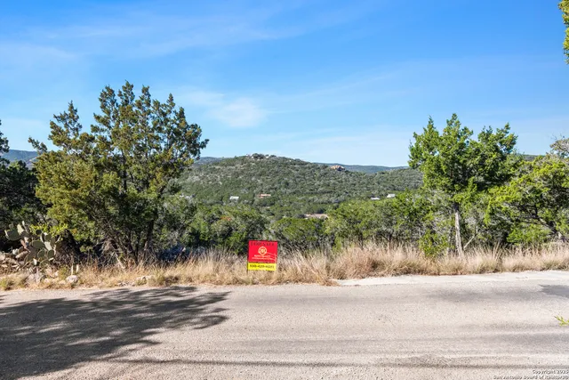 a view of a garden with a tree