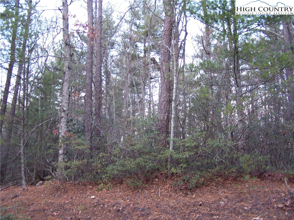 Roaring Ridge Road Deep Gap, NC 28618 - Photo 3 of 42