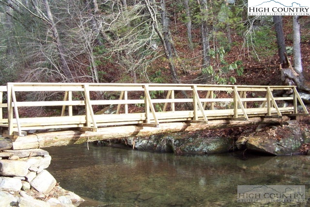 Roaring Ridge Road Deep Gap, NC 28618 - Photo 9 of 42
