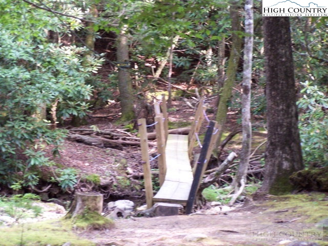 Roaring Ridge Road Deep Gap, NC 28618 - Photo 10 of 42