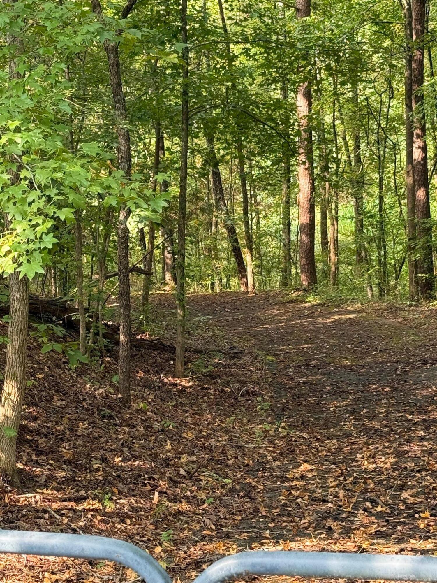 9824 Waterside Way Soddy-Daisy, TN 37379 - Photo 25 of 29 IMG_0581