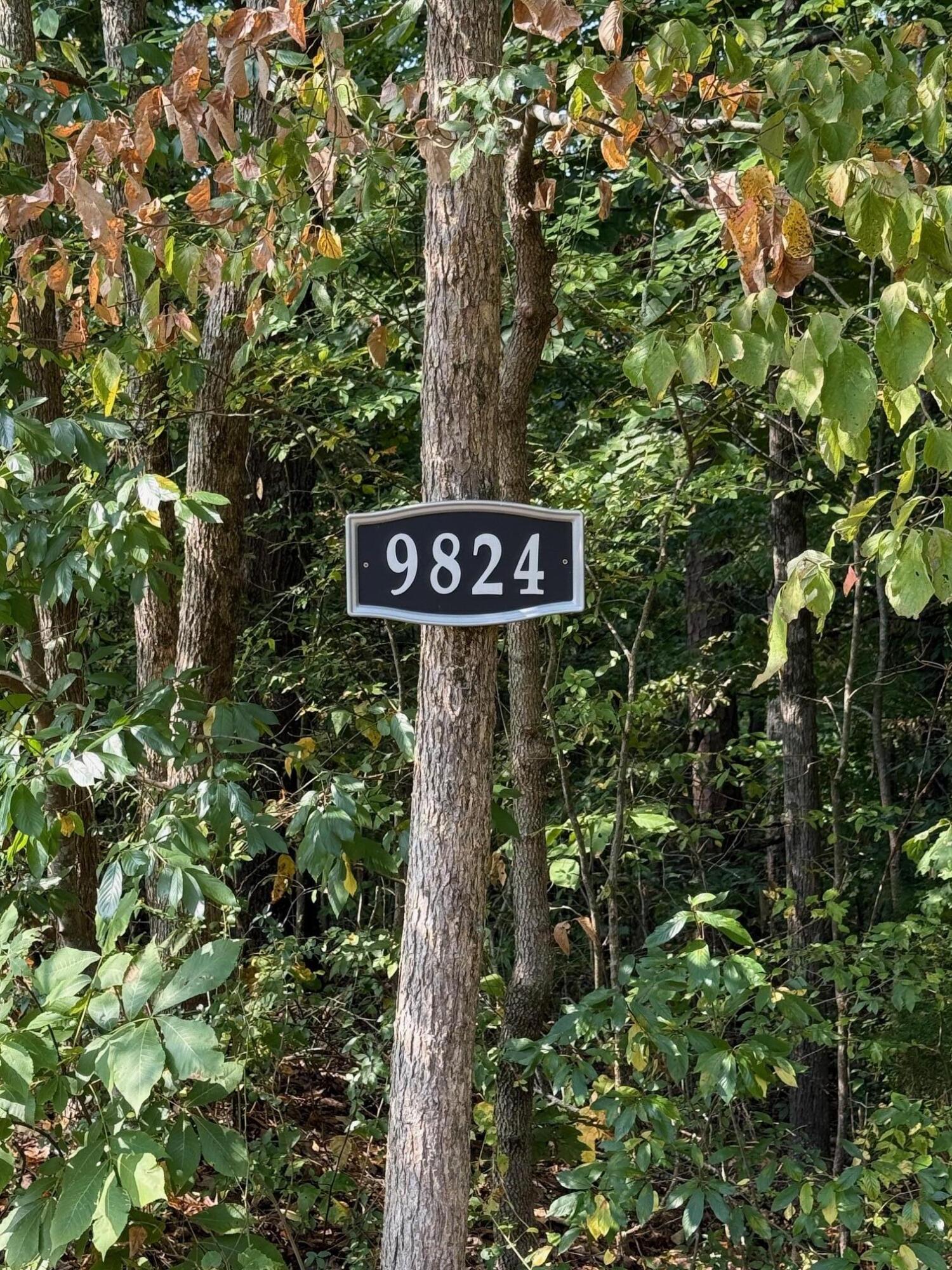 9824 Waterside Way Soddy-Daisy, TN 37379 - Photo 27 of 29 IMG_0586