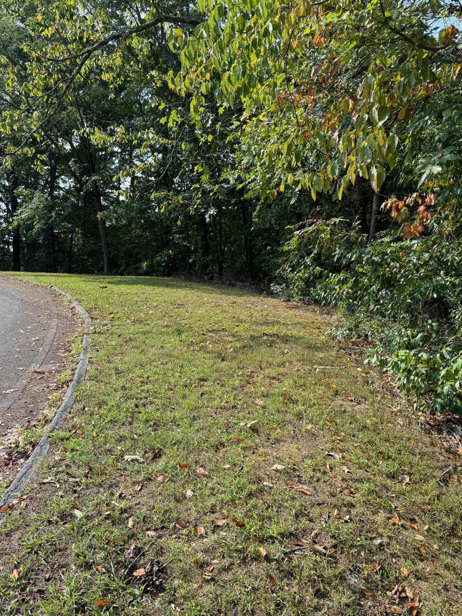 9824 Waterside Way Soddy-Daisy, TN 37379 - Photo 28 of 29 IMG_0587