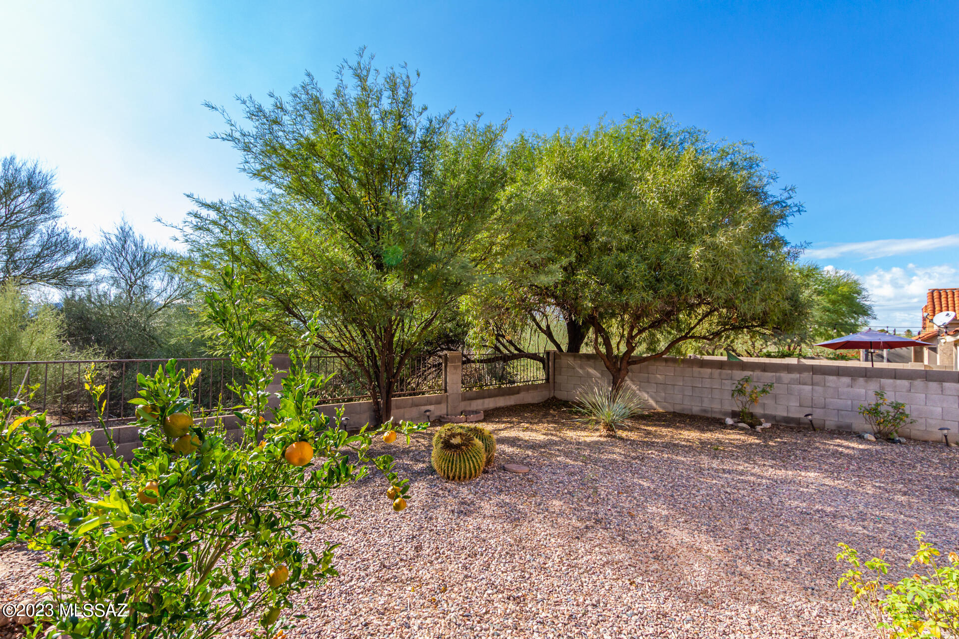 4749 West Lessing Lane Tucson, AZ 85742 - Photo 2 of 30