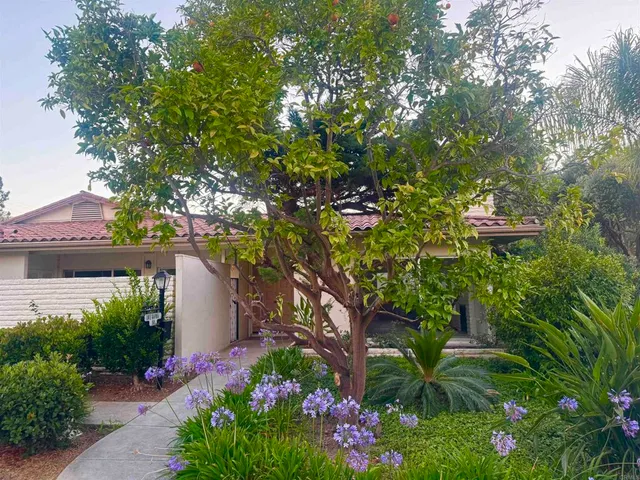 a view of a flower in a garden