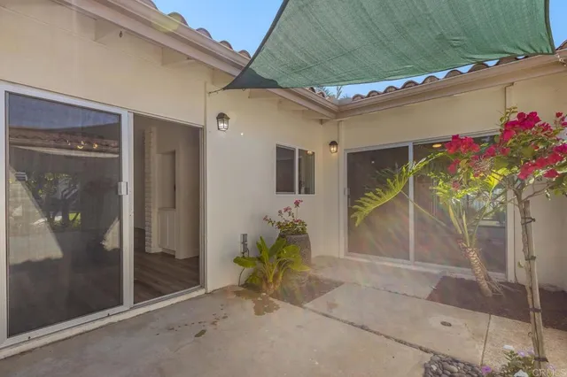 a potted plant sitting in front of a house