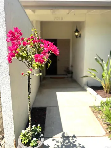 a vase of flowers sitting on a floor