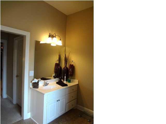 318 Kings Ridge Circle Brandon, MS 39047 - Photo 18 of 24 Another view of the master bathroom.