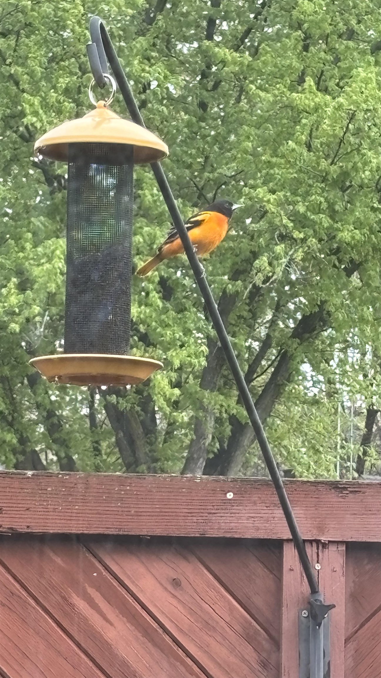 219 James Street Portage, WI 53901 - Photo 8 of 44