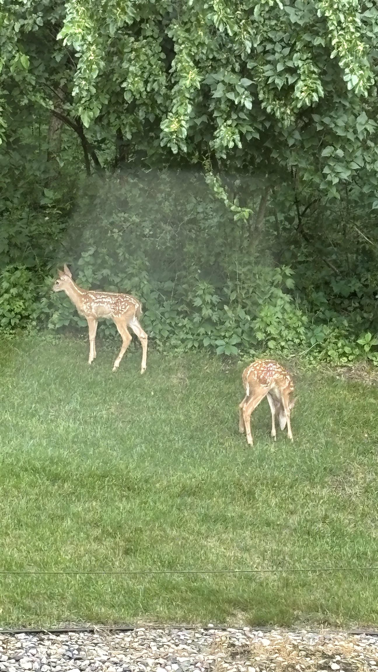 219 James Street Portage, WI 53901 - Photo 9 of 44