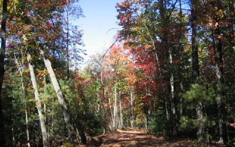 2 Scenic Mountain Road Acworth, GA 30102 - Photo 1 of 1 Main View