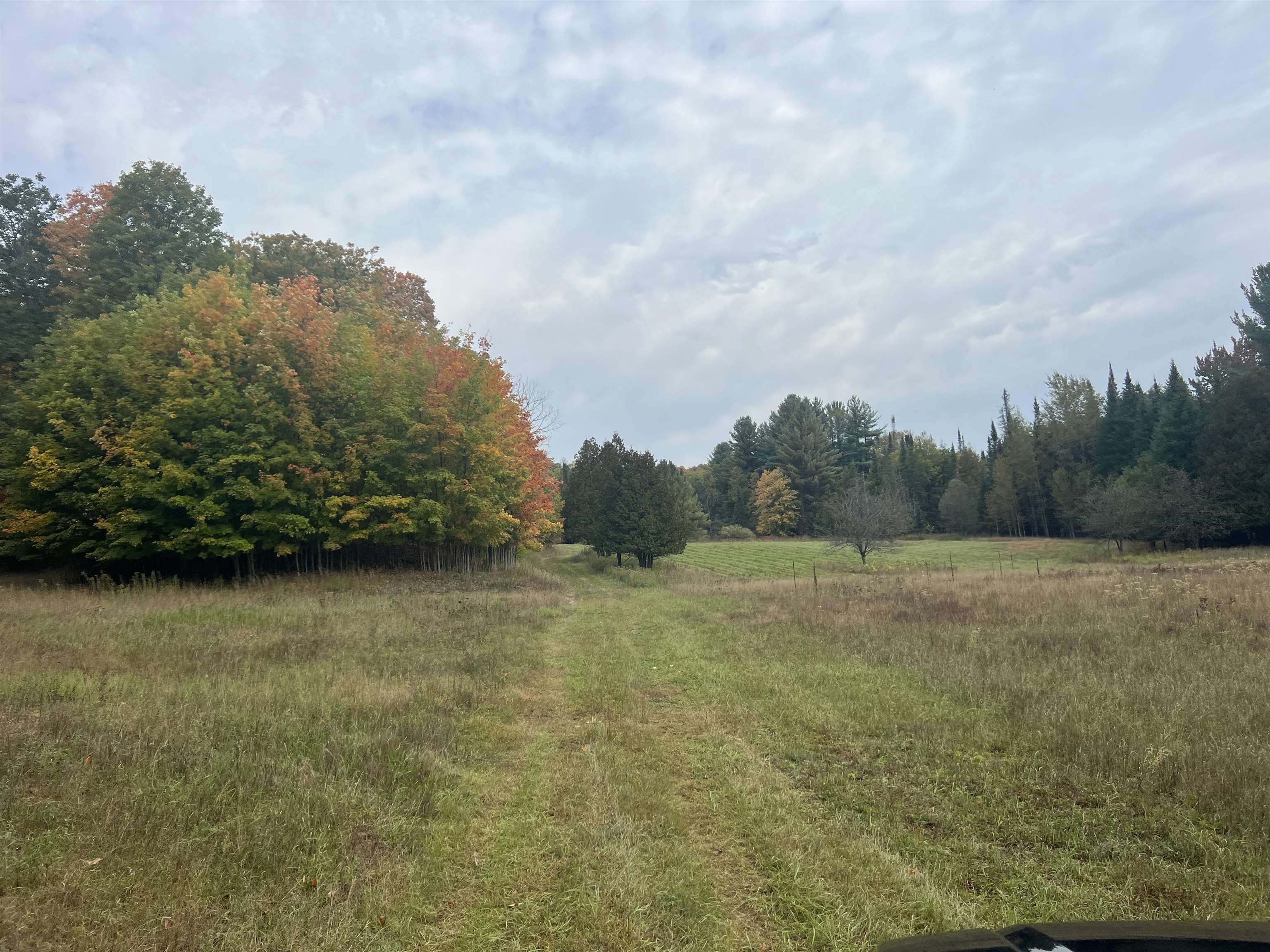 90 A Ridgeview Drive Kalkaska, MI 49646 - Photo 35 of 75