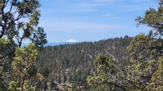 1315 Lofton Creek Road Prineville, OR 97754 - Photo 2 of 61 image000003 (1)