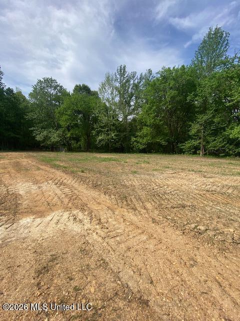 2085 Prichard Road Coldwater, MS 38618 - Photo 13 of 14 IMG_6076