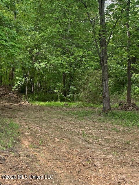 2085 Prichard Road Coldwater, MS 38618 - Photo 14 of 14 IMG_6090