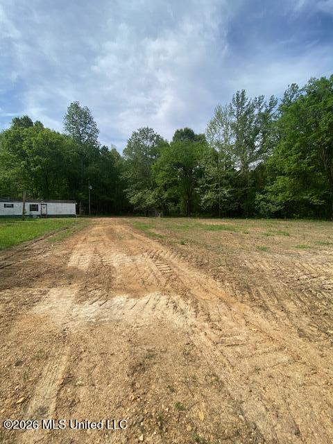 2085 Prichard Road Coldwater, MS 38618 - Photo 2 of 14 IMG_6077