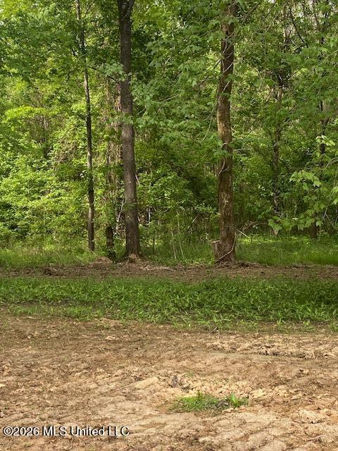 2085 Prichard Road Coldwater, MS 38618 - Photo 3 of 14 IMG_6089 (1)