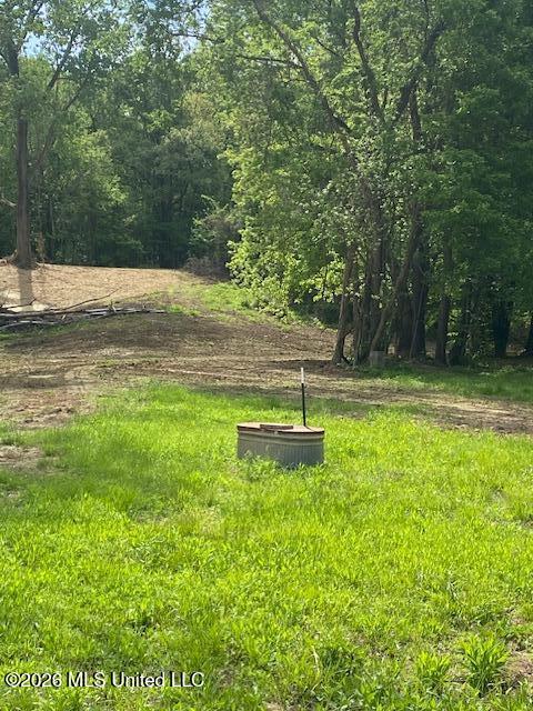 2085 Prichard Road Coldwater, MS 38618 - Photo 5 of 14 IMG_6084