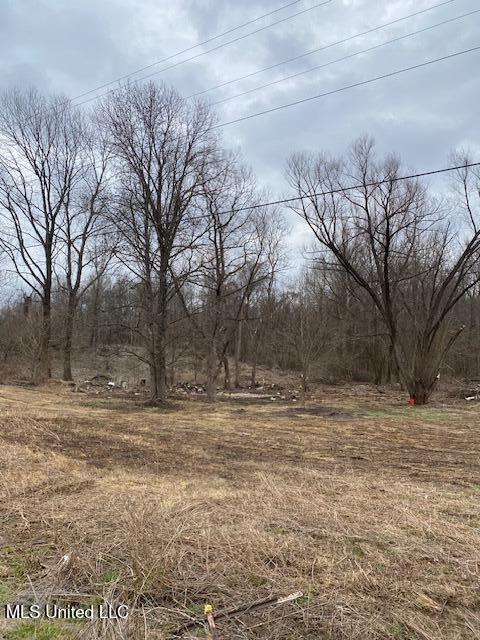 2085 Prichard Road Coldwater, MS 38618 - Photo 5 of 8 prichard 3