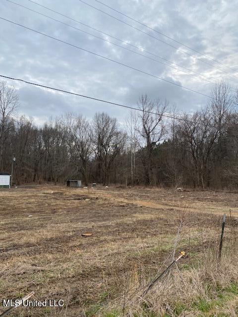 2085 Prichard Road Coldwater, MS 38618 - Photo 6 of 8 prichard 4