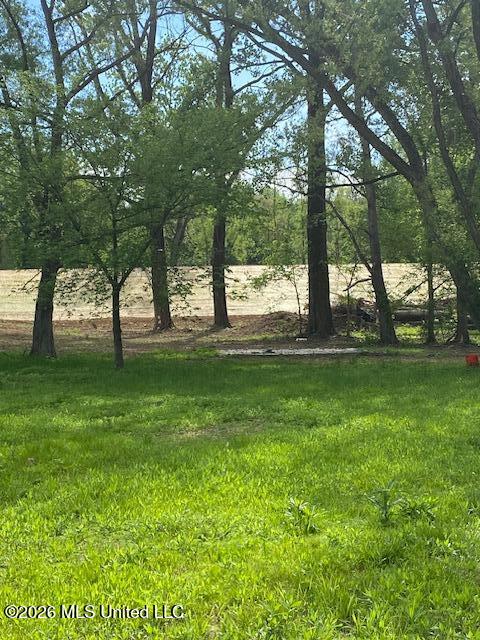 2085 Prichard Road Coldwater, MS 38618 - Photo 6 of 14 IMG_6083