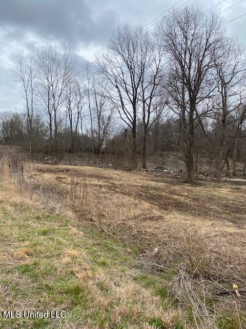 2085 Prichard Road Coldwater, MS 38618 - Photo 7 of 8 prichard 5