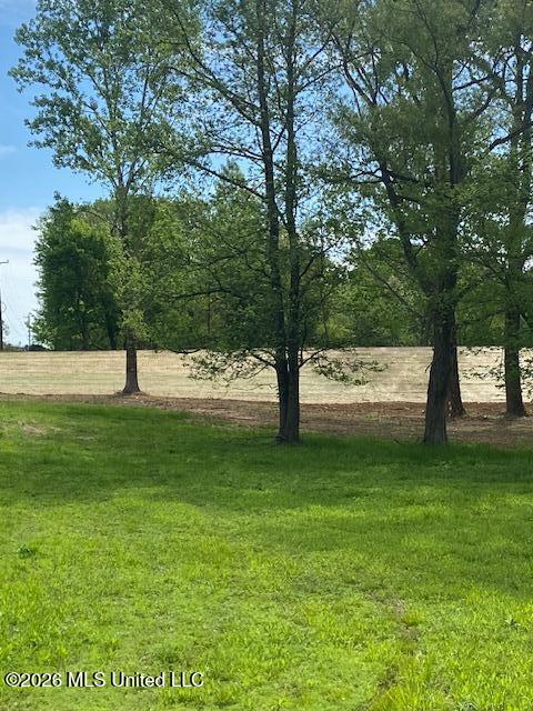 2085 Prichard Road Coldwater, MS 38618 - Photo 7 of 14 IMG_6097
