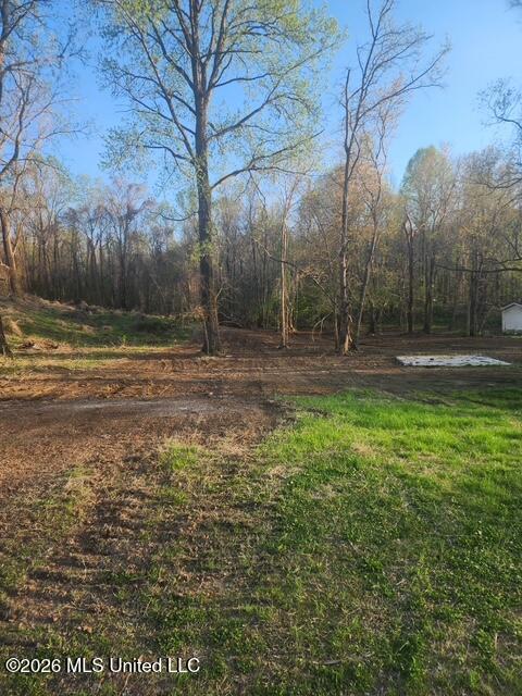 2085 Prichard Road Coldwater, MS 38618 - Photo 8 of 14 image2