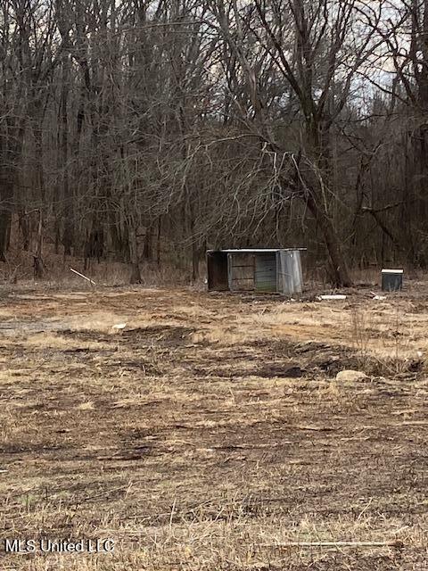 2085 Prichard Road Coldwater, MS 38618 - Photo 8 of 8 prichard 8