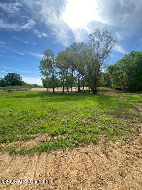 2085 Prichard Road Coldwater, MS 38618 - Photo 10 of 14 IMG_6080
