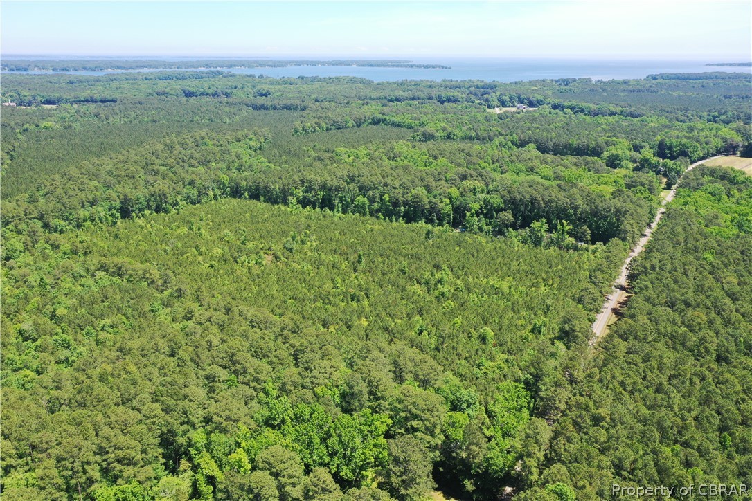 16-ac Ridge Road Cobbs Creek, VA 23035 - Photo 1 of 43 View of aerial view