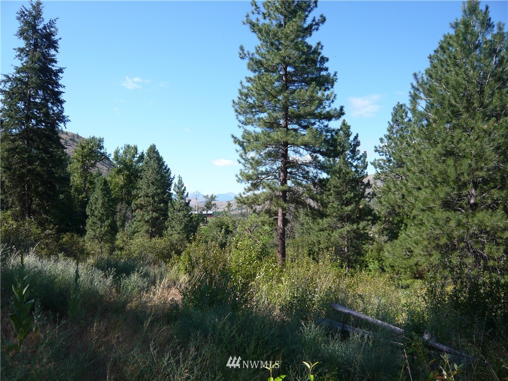 593 East Chewuch Road Winthrop, WA 98862 - Photo 14 of 25 Gallery Image 14