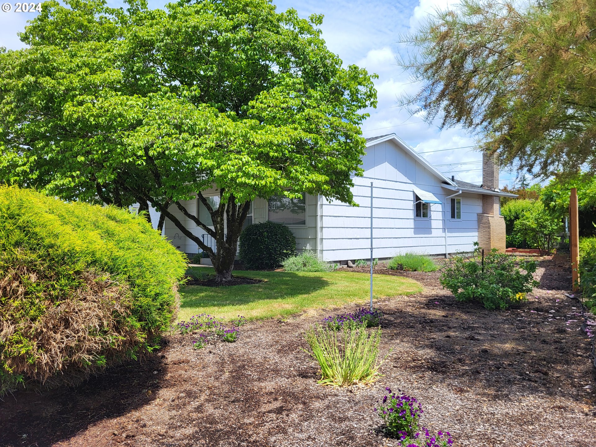 1440 Thompson Road Woodburn, OR 97071 - Photo 26 of 26 Yard