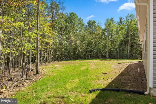 a view of a yard with an outdoor space