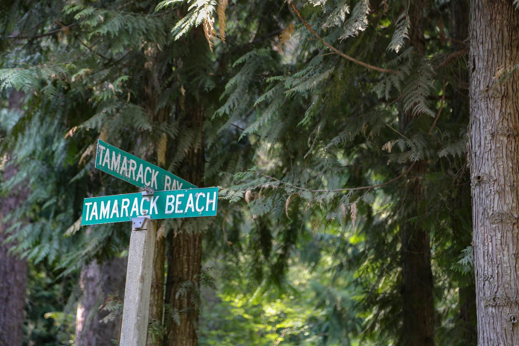4097 Tamarack Bay Road Loon Lake, WA 99148 - Photo 11 of 15 Gallery Image 11