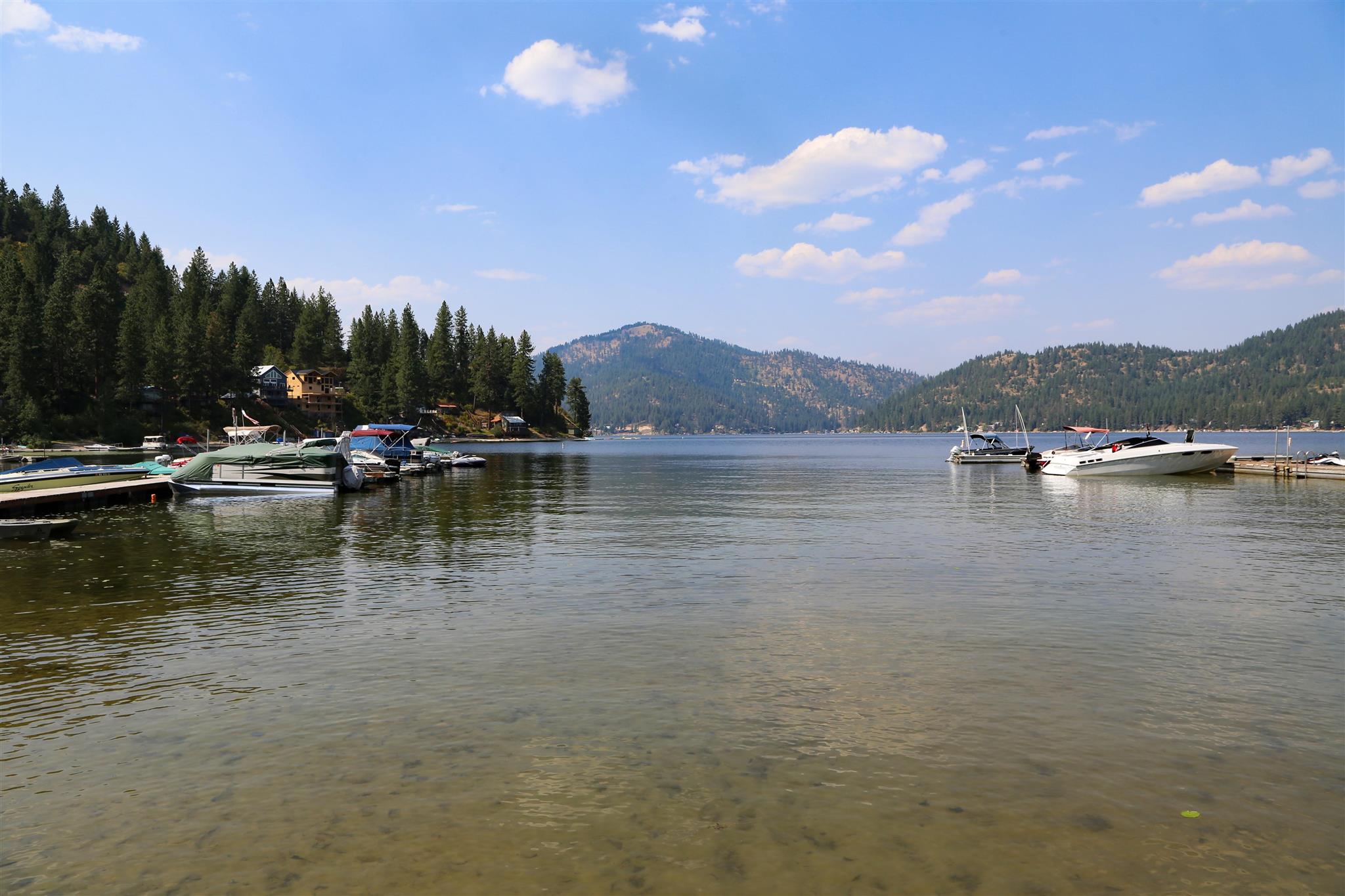 4097 Tamarack Bay Road Loon Lake, WA 99148 - Photo 12 of 15 Gallery Image 12