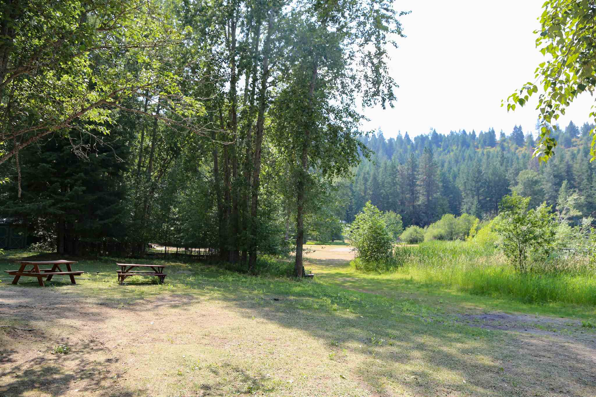 4097 Tamarack Bay Road Loon Lake, WA 99148 - Photo 13 of 15 Gallery Image 13