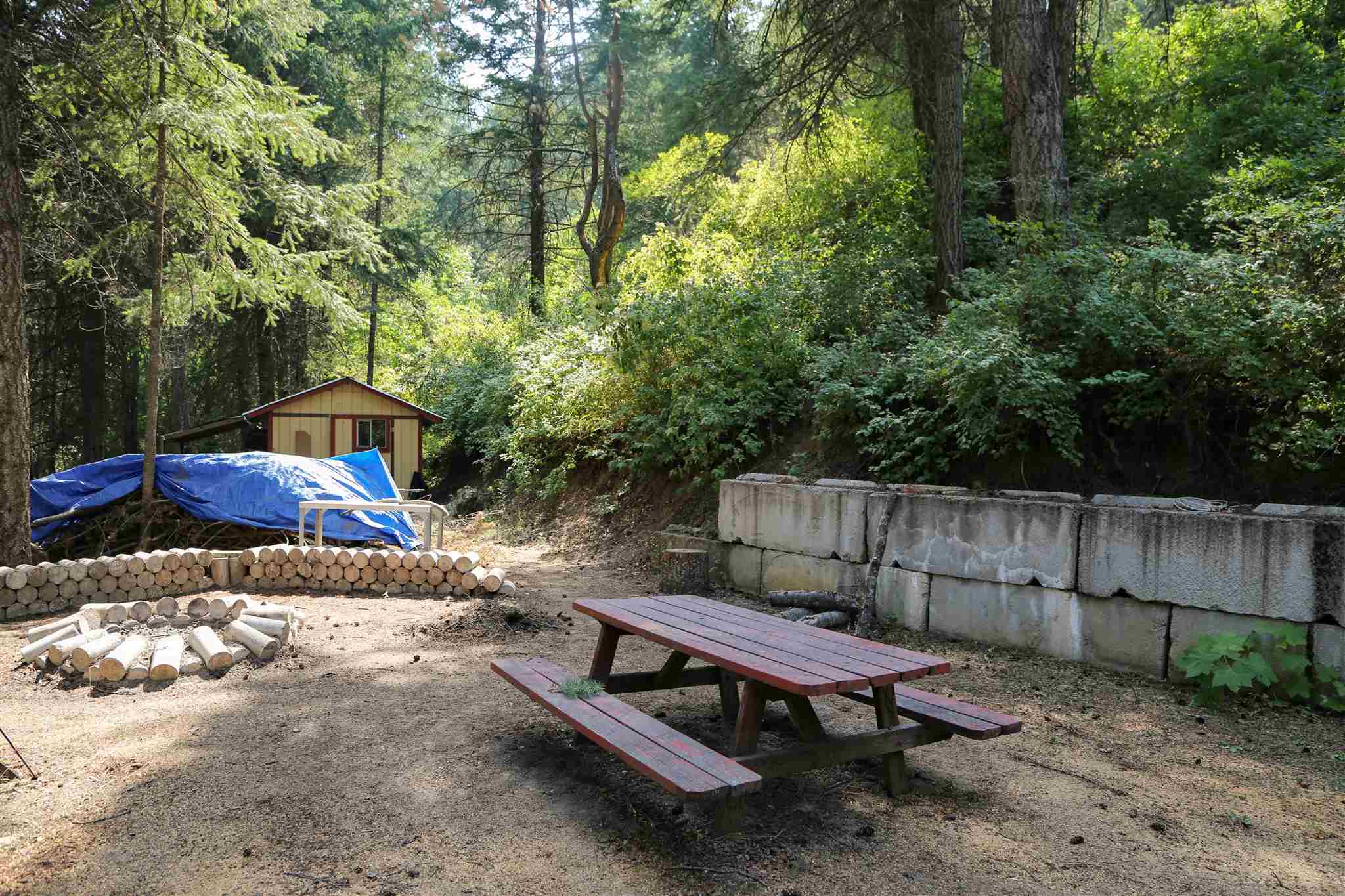 4097 Tamarack Bay Road Loon Lake, WA 99148 - Photo 8 of 15 Gallery Image 8