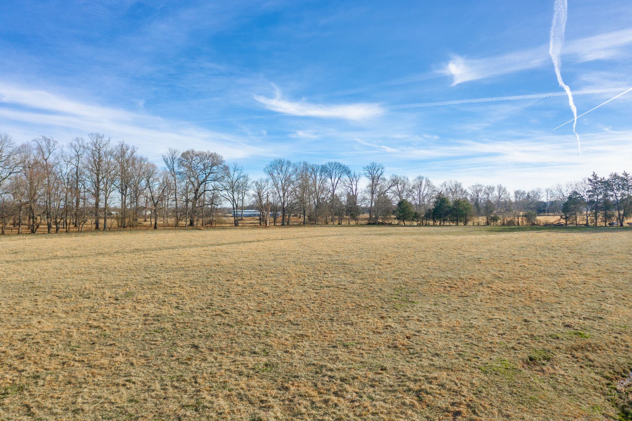 742 Webb Road Eagleville, TN 37060 - Photo 16 of 34 a view of lake with trees