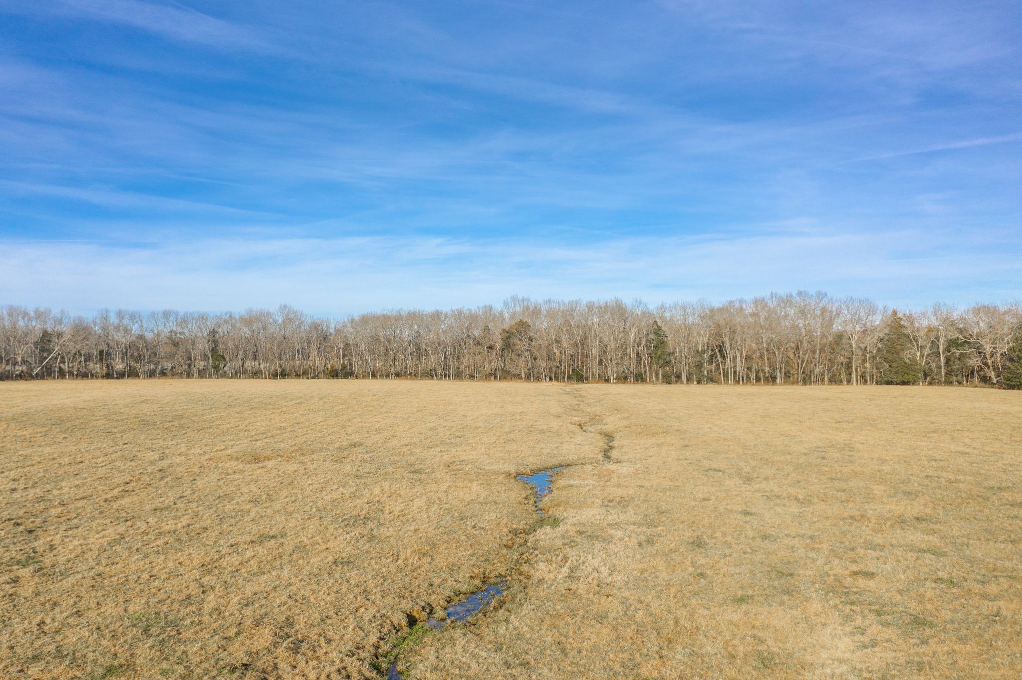 742 Webb Road Eagleville, TN 37060 - Photo 17 of 34 a view of lake