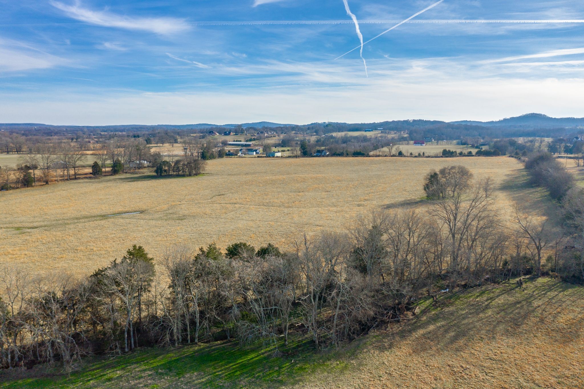 742 Webb Road Eagleville, TN 37060 - Photo 19 of 34 a view of a lake with houses in the back