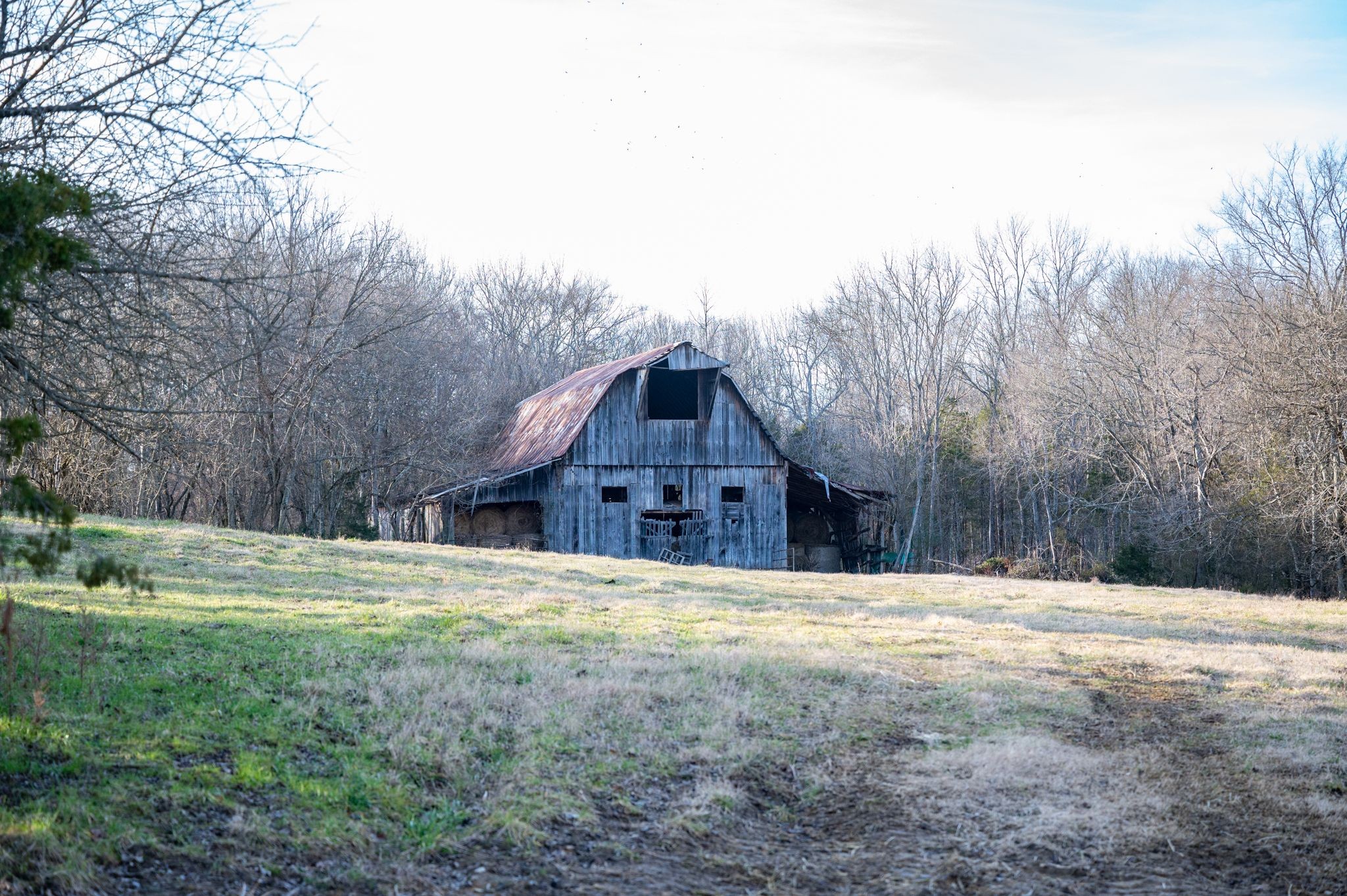 742 Webb Road Eagleville, TN 37060 - Photo 3 of 34 a house with trees in the background