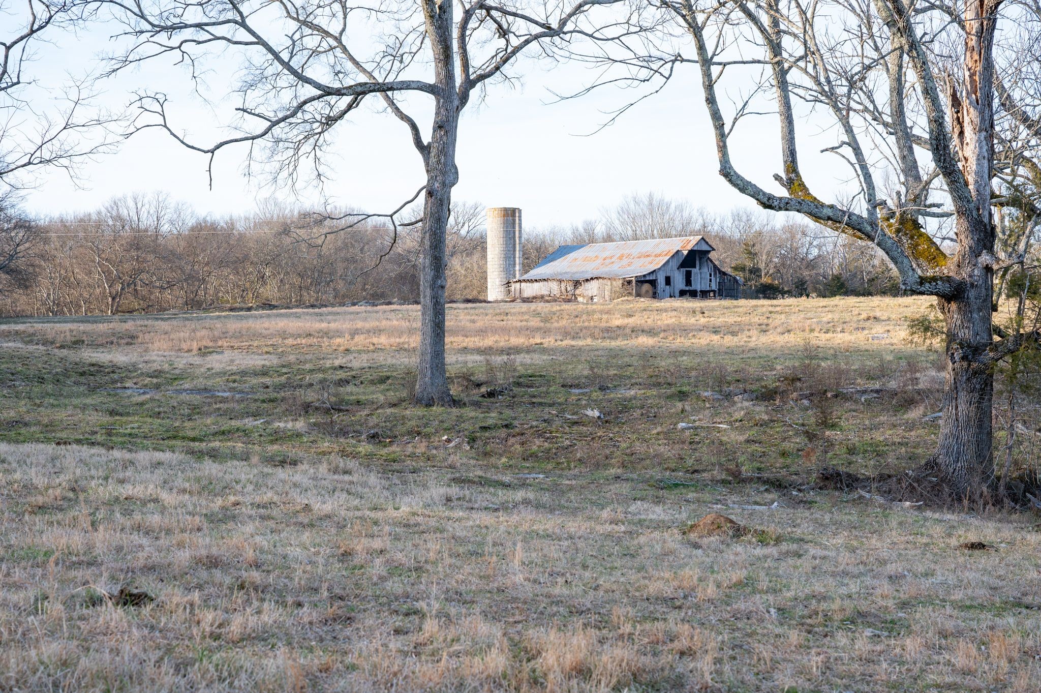 742 Webb Road Eagleville, TN 37060 - Photo 21 of 34 a view of a tiny house with a yard