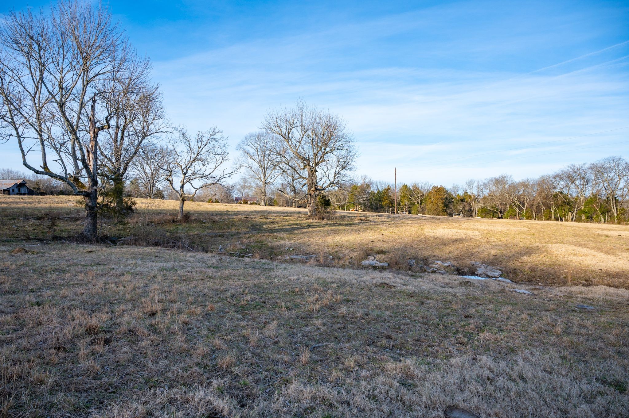 742 Webb Road Eagleville, TN 37060 - Photo 22 of 34 a view of dirt yard with large trees