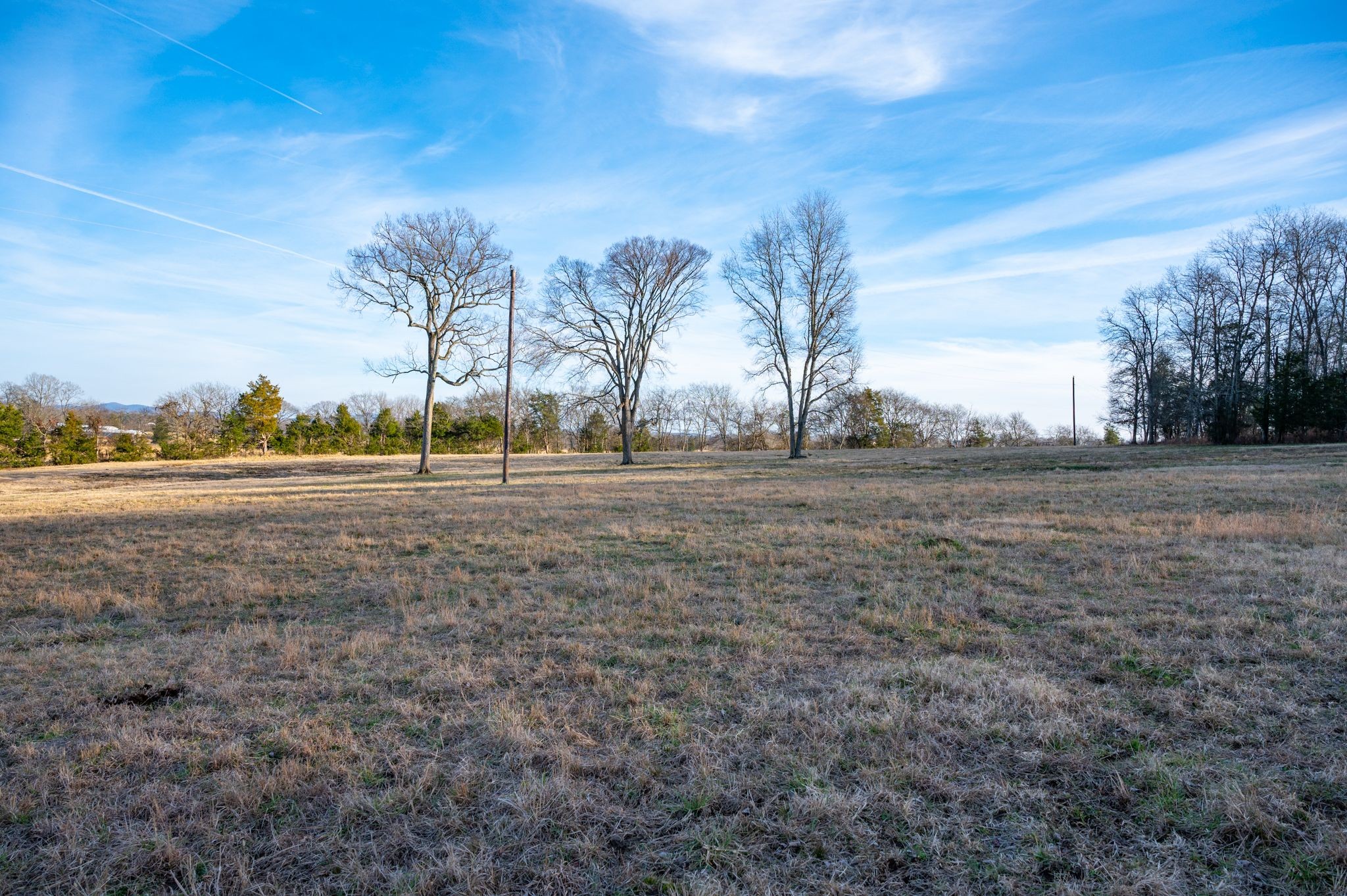 742 Webb Road Eagleville, TN 37060 - Photo 23 of 34 a view of dirt field with trees