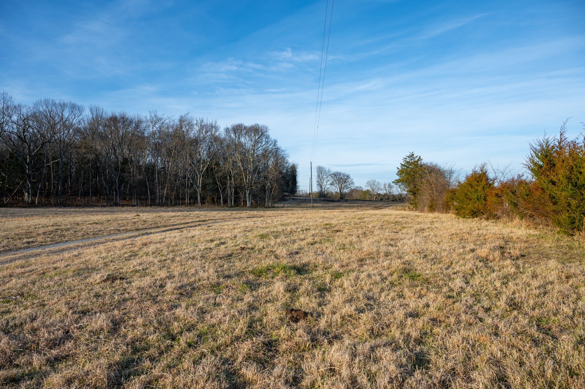 742 Webb Road Eagleville, TN 37060 - Photo 25 of 34 a view of hard wood space with mountain