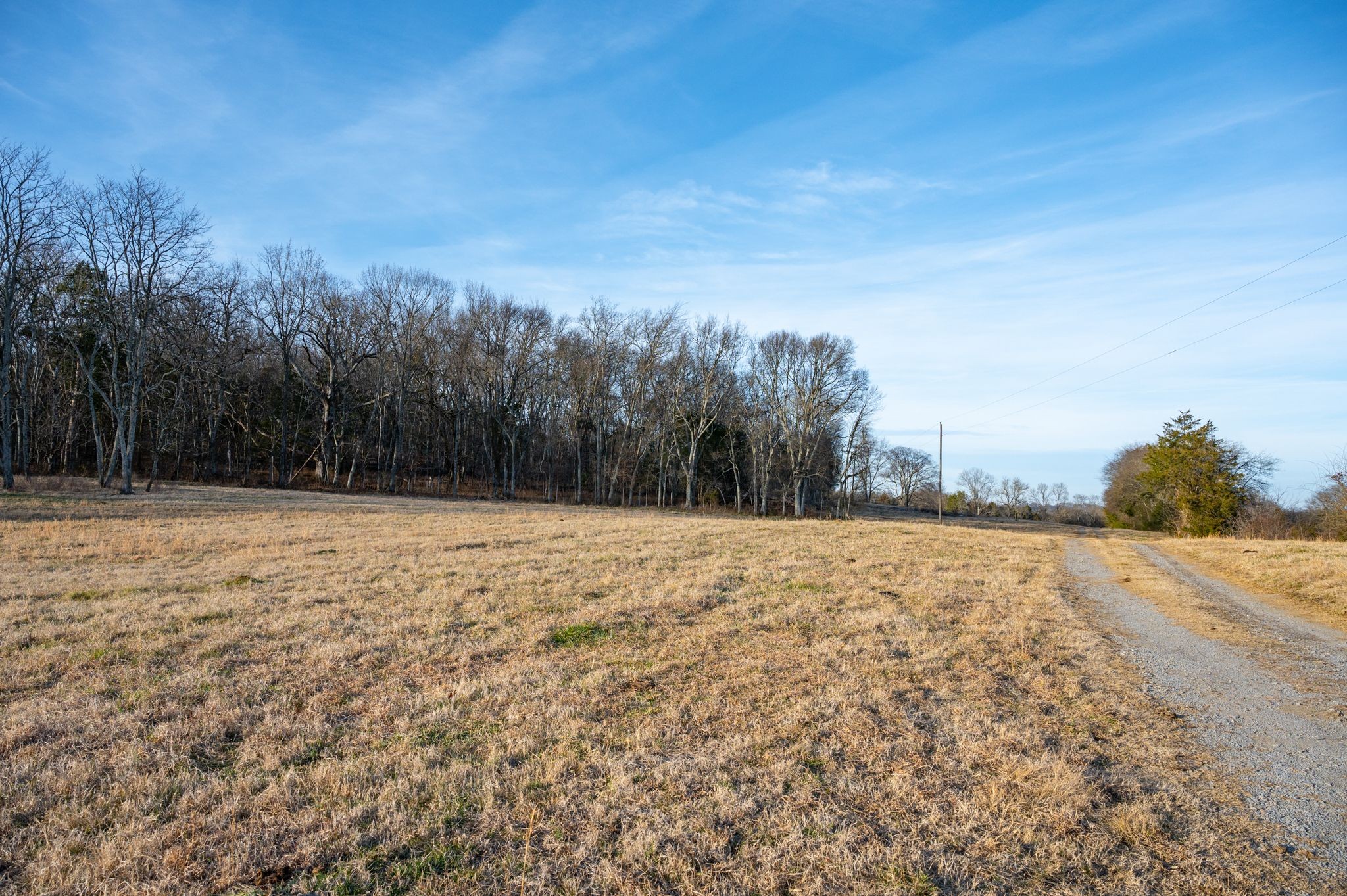 742 Webb Road Eagleville, TN 37060 - Photo 27 of 34 a backyard of a house with trees